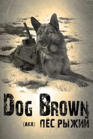 Red Dog